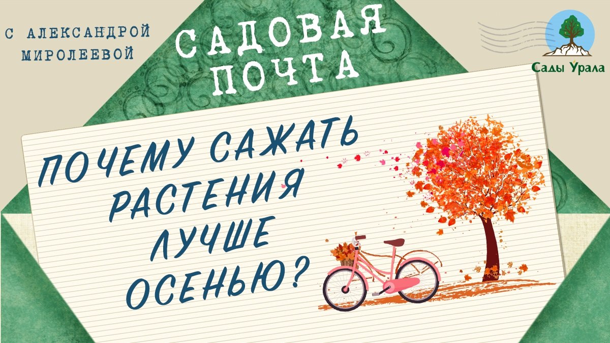 Садовая почта: Почему сажать растения лучше осенью? Выпуск 4 смотреть онлайн