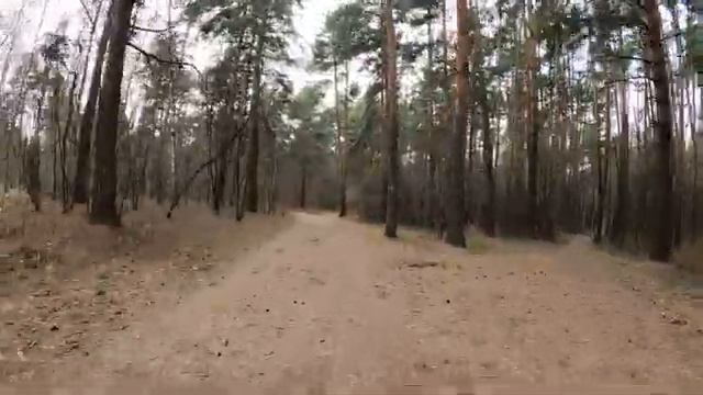 4K 60fps 64min Bike Ride. Suburbs Of Moscow. Indoor Cycling.