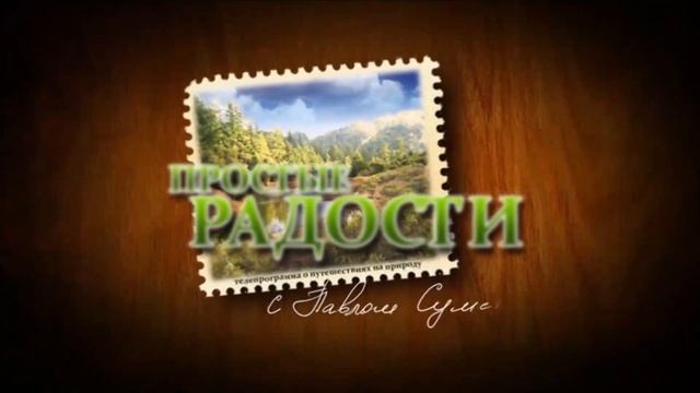 Рыбалка и приготовление Карася озеро Еткуль июль 2014 г. смотреть онлайн