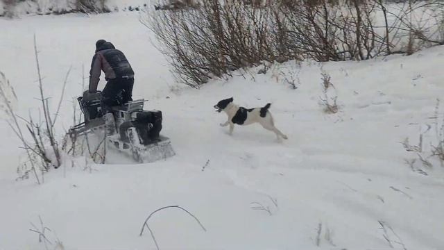 снегоход Разгуляй смотреть онлайн