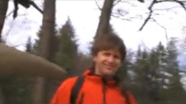 Dinozavri.mpg смотреть онлайн