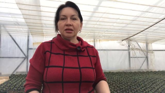 Выращивание огурцов. Мелочей - нет! смотреть онлайн