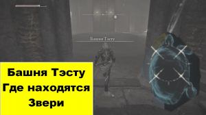Где Найти 3 Мудрых Зверей В Башне Тэсту.Elden Ring