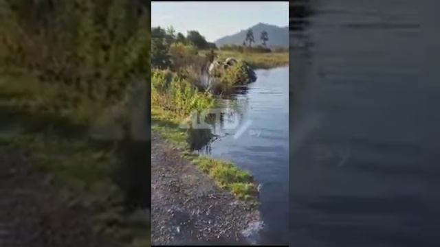 На Сахалине вездеход заехал в озеро и перевернулся на крышу смотреть онлайн
