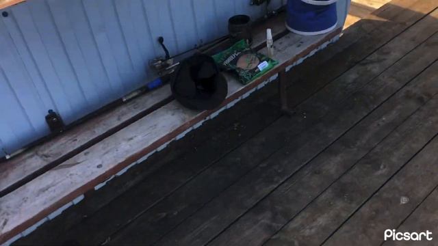 Съездили порыбачить на Маныч , ничего не поймали !!! смотреть онлайн