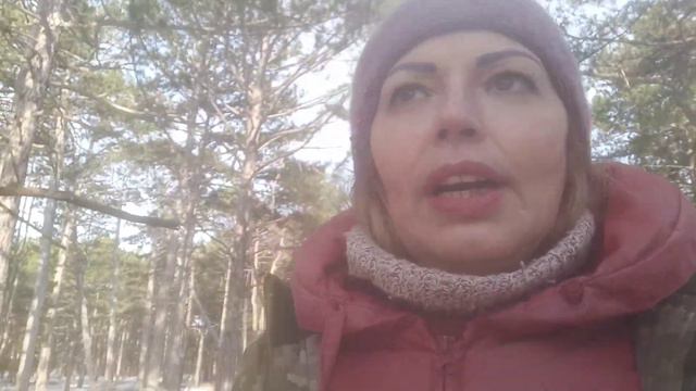 Олешковский лес 20.02.2021. смотреть онлайн