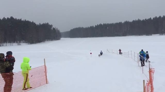 Как стартует собачья упряжка с каюром с места смотреть онлайн