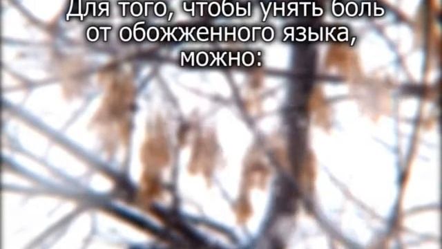 015 ПС Обожженный язык смотреть онлайн