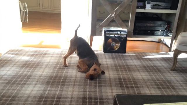 Oliver Squirt - Cast your fate to the wind смотреть онлайн