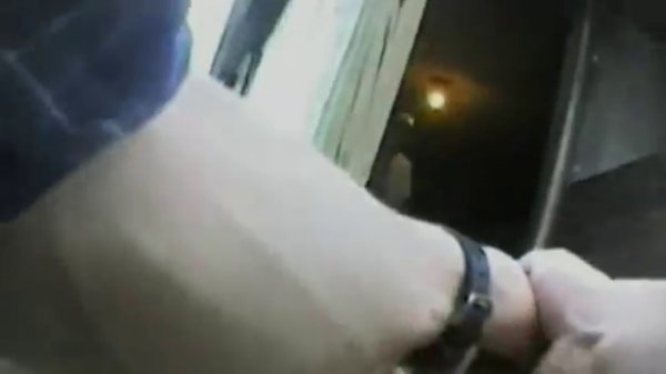 D e a t h O n A F a c t o r y F a r m en__1