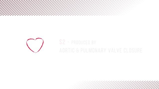 Heart Sounds Series - Normal Heart Sounds смотреть онлайн