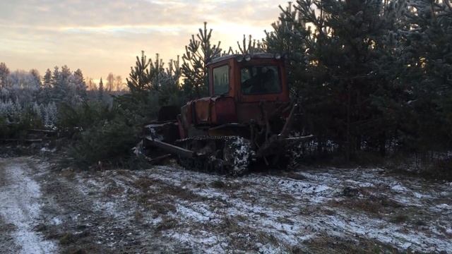 Раскорчевка полей ДТ-75 ( ЭХО 0х)!!! смотреть онлайн