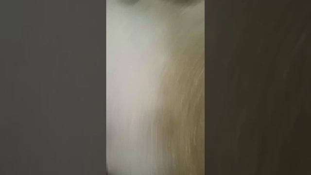 шестая часть поездки домой с магазина