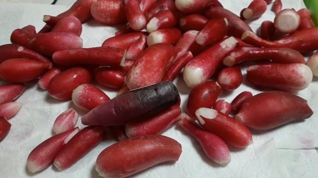 Обзор редиса сорт 18 дней смотреть онлайн