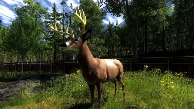 The Hunter Classic - Compound-Bow 