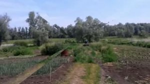 Минитрактор из мотоблока Каскад