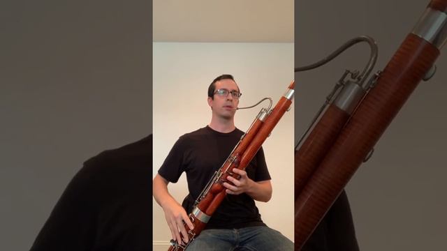 HYS Woodwind Sample Audition смотреть онлайн