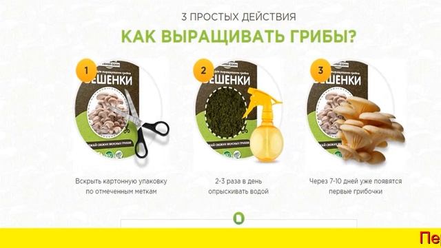 Домашняя Грибница Вешенки, Опята, Шампиньоны, Белые Грибы Купить смотреть онлайн