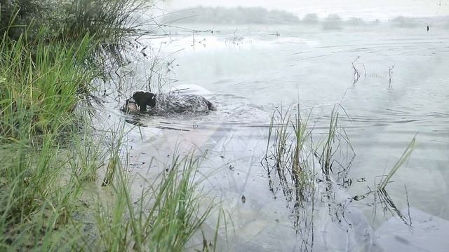 Есть Трофей!