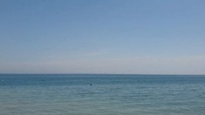 Crystal Flora Beach Resort 5*.Стандарт качества от отелей Crystal и Nirvana. #отпуск2023 #турция