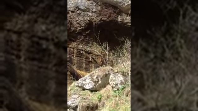 Девичьи слезы смотреть онлайн