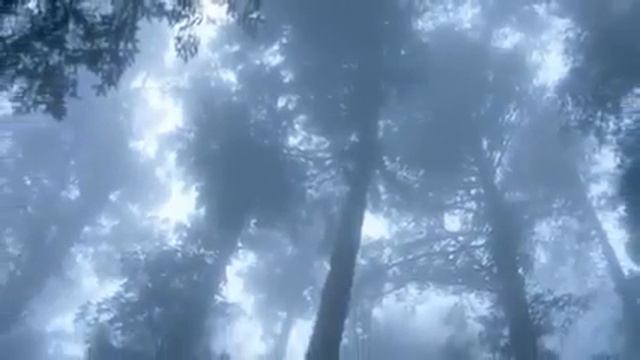 Жила была одна семья смотреть онлайн