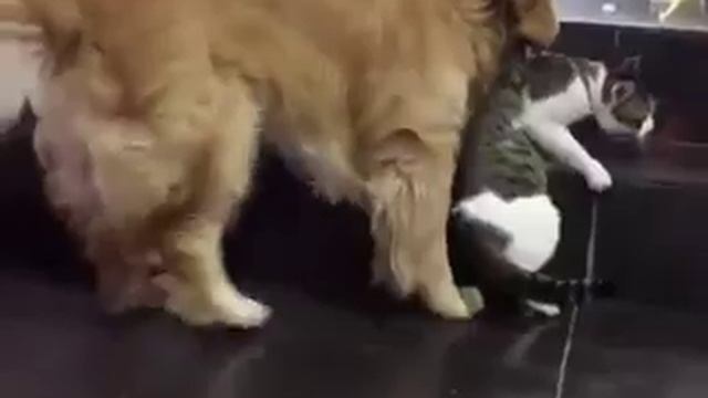 Full контроль