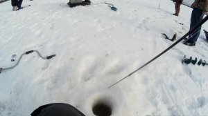 Уловистые балансиры на Судака. Ловля судака на реке Свирь. Зимняя рыбалка 2017