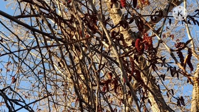 Кристина Мотиватор.Кувалда. Ольга Брендовна.Наконец отдохнет