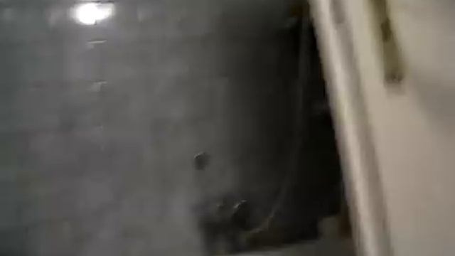 Помывка питона смотреть онлайн