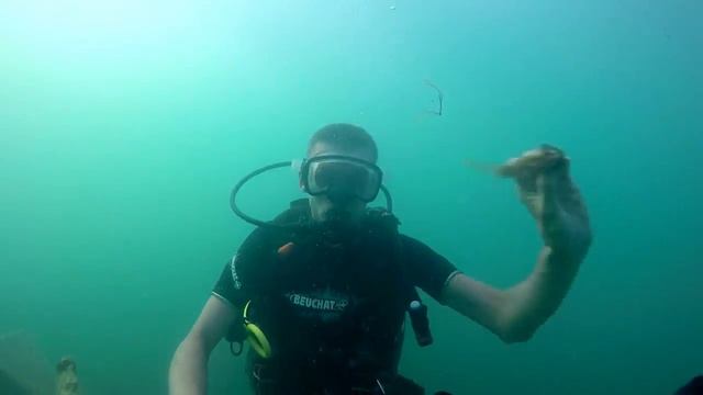 Лето за 4 минуты смотреть онлайн