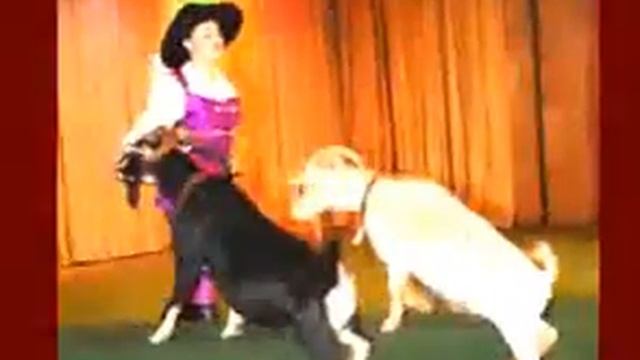 2 Какие бывают театры 'Путешествие в театр' Часть 2 смотреть онлайн