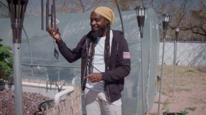 Аквапоника в пустыне: свежие овощи и рыба на заднем дворе