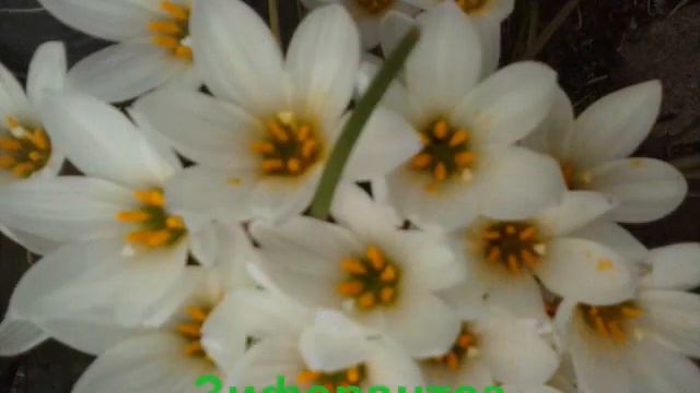 НОВАЯ РУБРИКА 