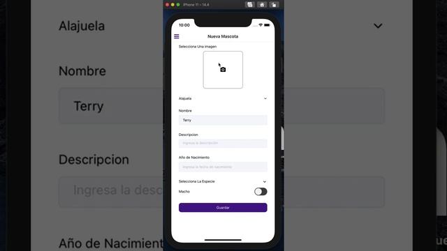 React Native App for adopting pets смотреть онлайн