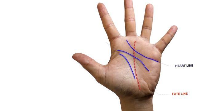 What Your Hands Say About Your Personality & IQ смотреть онлайн