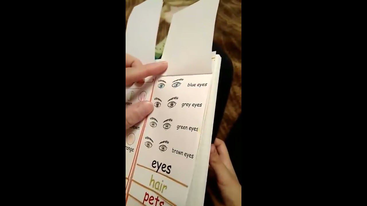 Интерактивные тетради. Уроки английского Татьяны Богдановой смотреть онлайн