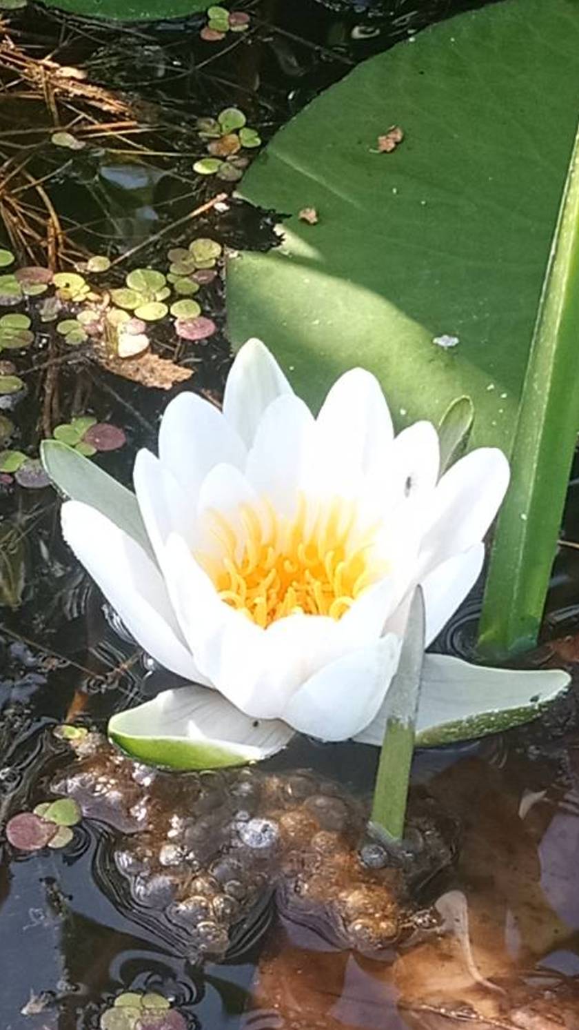 Восток Калининградской области. смотреть онлайн