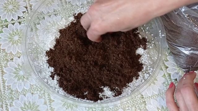  смотреть онлайн