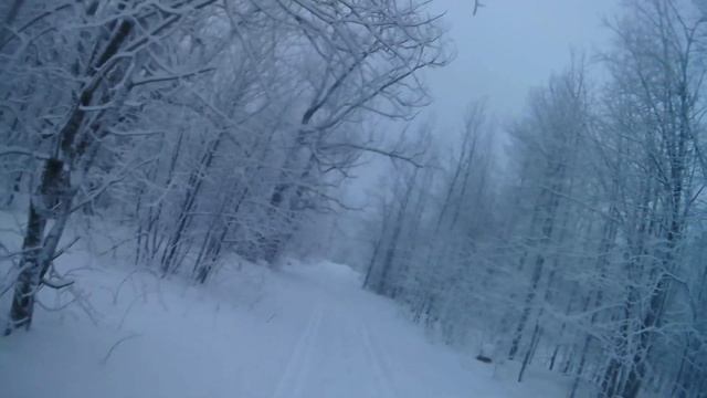 Покатушка на Лыжи 9 Кизел смотреть онлайн