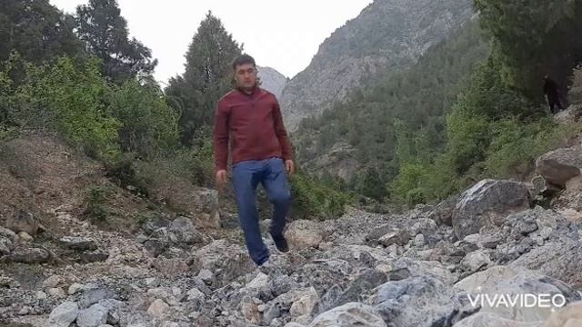Аюа Юсупов. Шохимардон "Арча тоғ " 2021 Май. Shohimardon "Archa toğ" 2021 May. смотреть онлайн