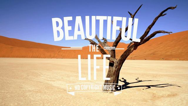 Magnus x Unread - Cool feat. Alessia Labate | 🍨 Beautiful LIFE - Музыка без авторских прав🎶 смотреть онлайн