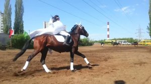 Чёрно белое 2014