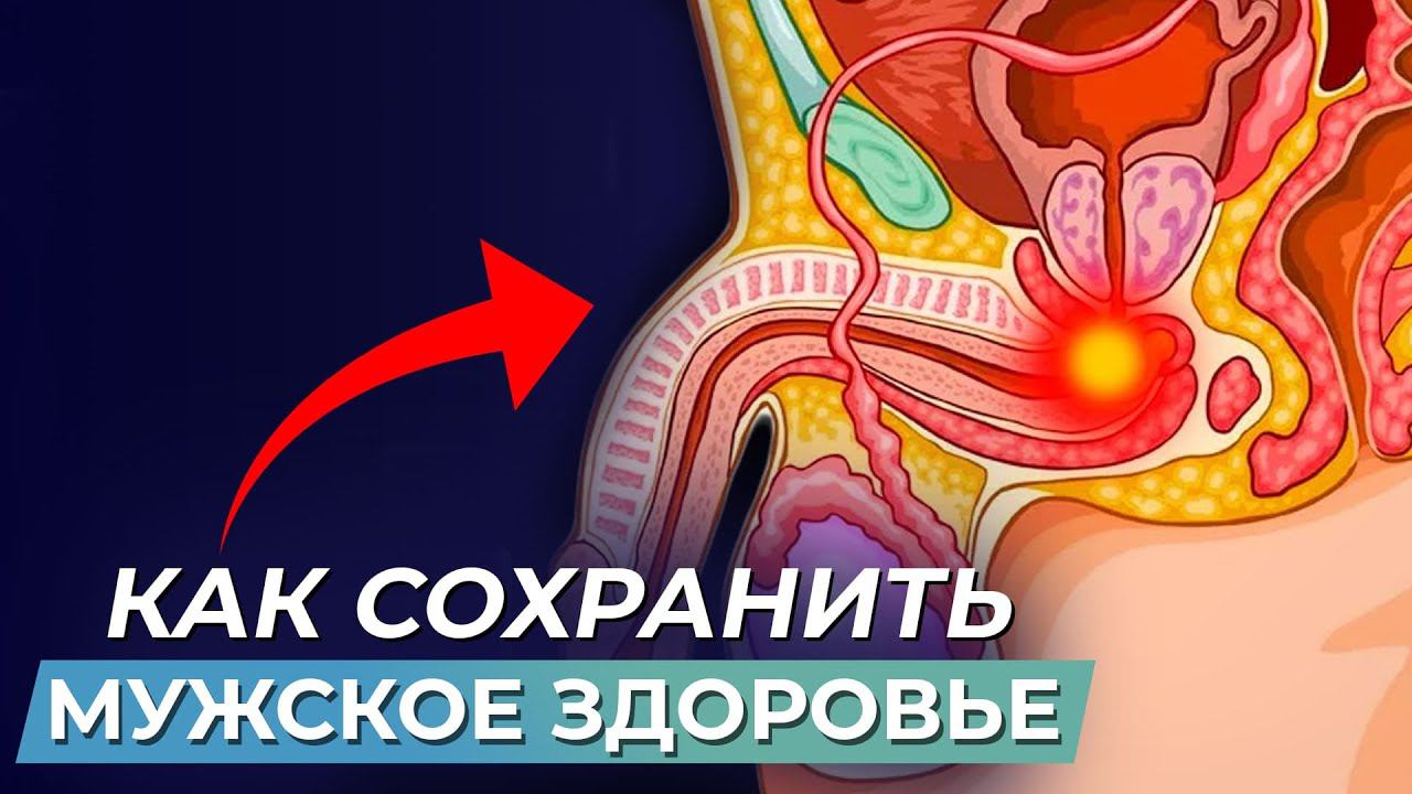 ❓Почему пропадает эрекция во время секса? МУЖСКОЕ ЗДОРОВЬЕ. РЕКОМЕНДАЦИИ по восстановлению❗️