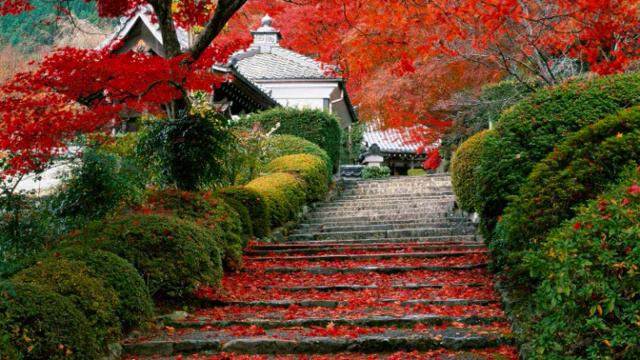 The Way Of The Warrior - Hans Zimmer [The Last Samurai] смотреть онлайн