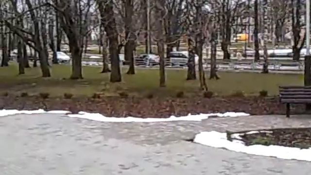 Машина врезалась в школу. смотреть онлайн