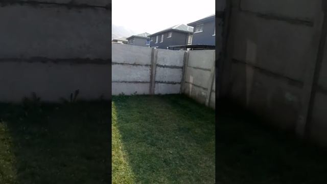 Mi futura larapinta смотреть онлайн