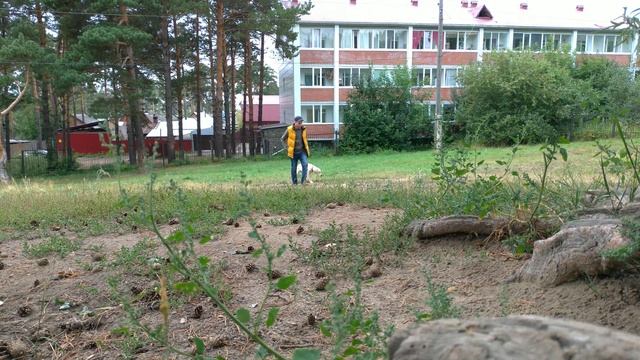 Boston - первые тренировки. смотреть онлайн