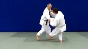 Квалификационные требования в дзюдо для аттестации на коричневый пояс ( 1-й кю )