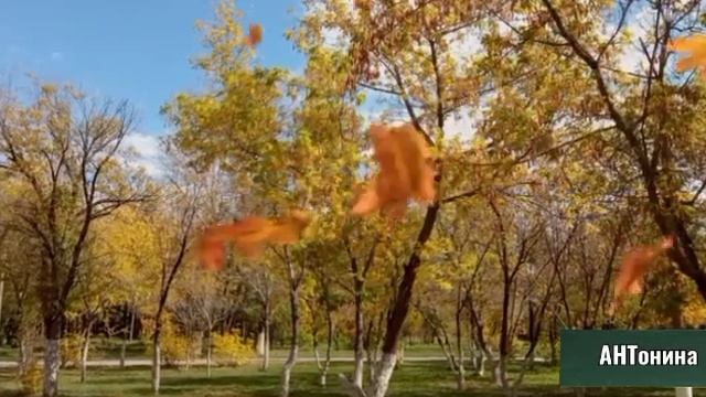 Осенние листья. Сергей Грищук смотреть онлайн